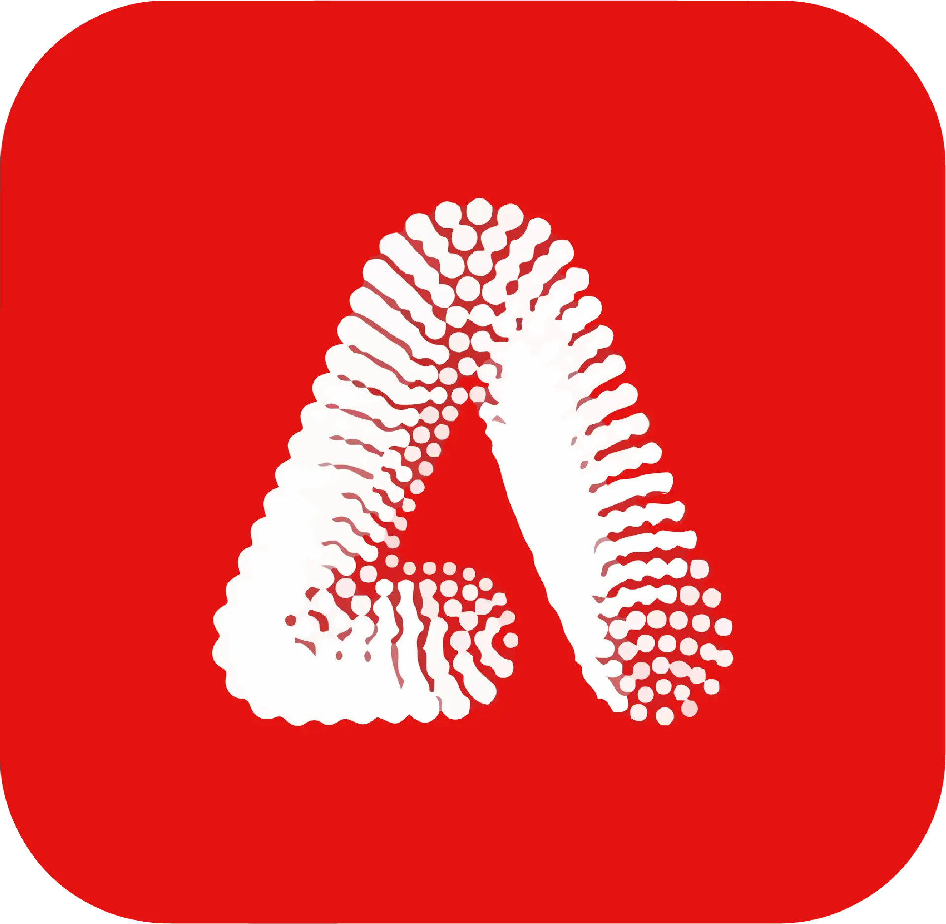 Partner 4