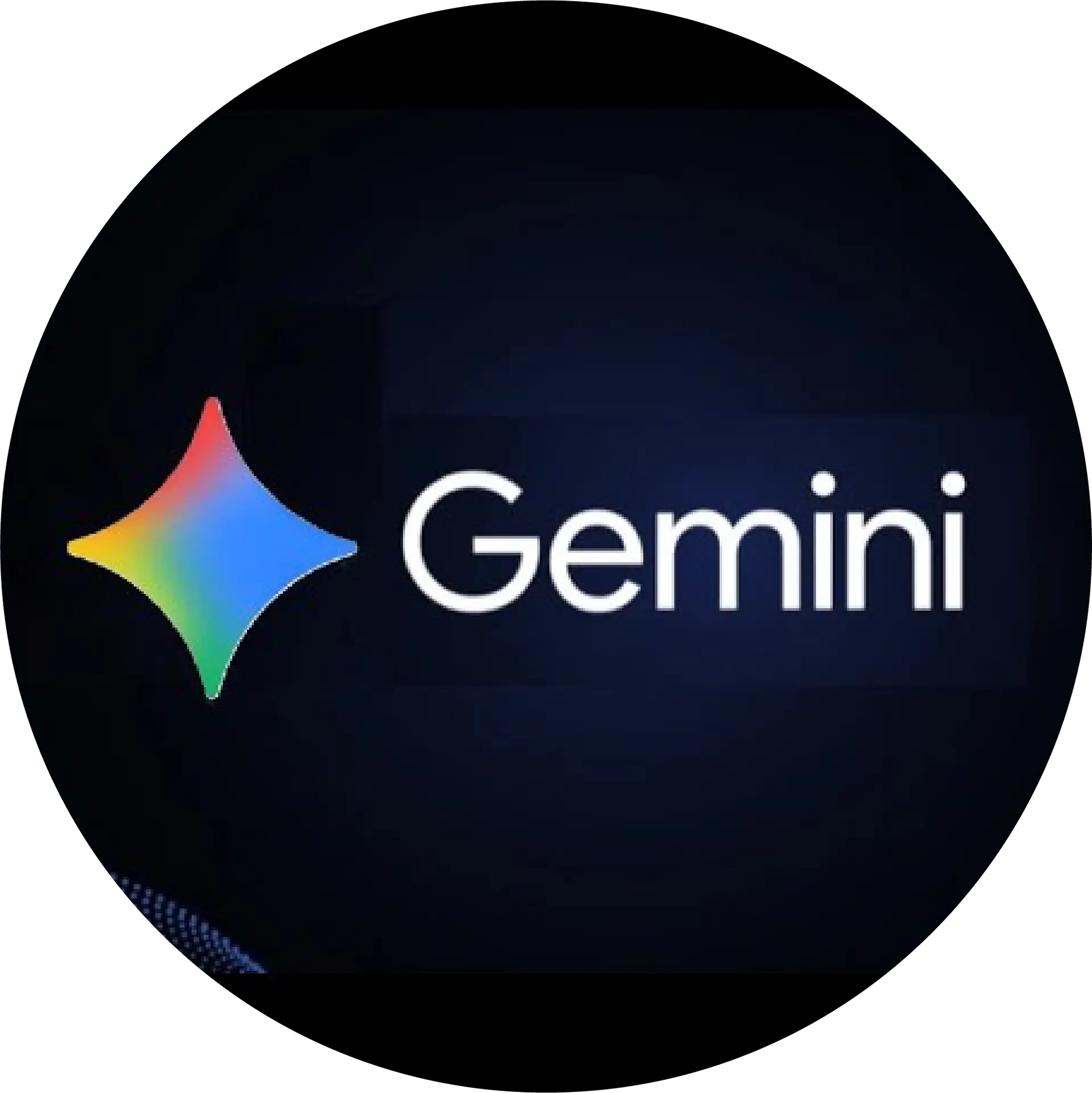 Logo Partner